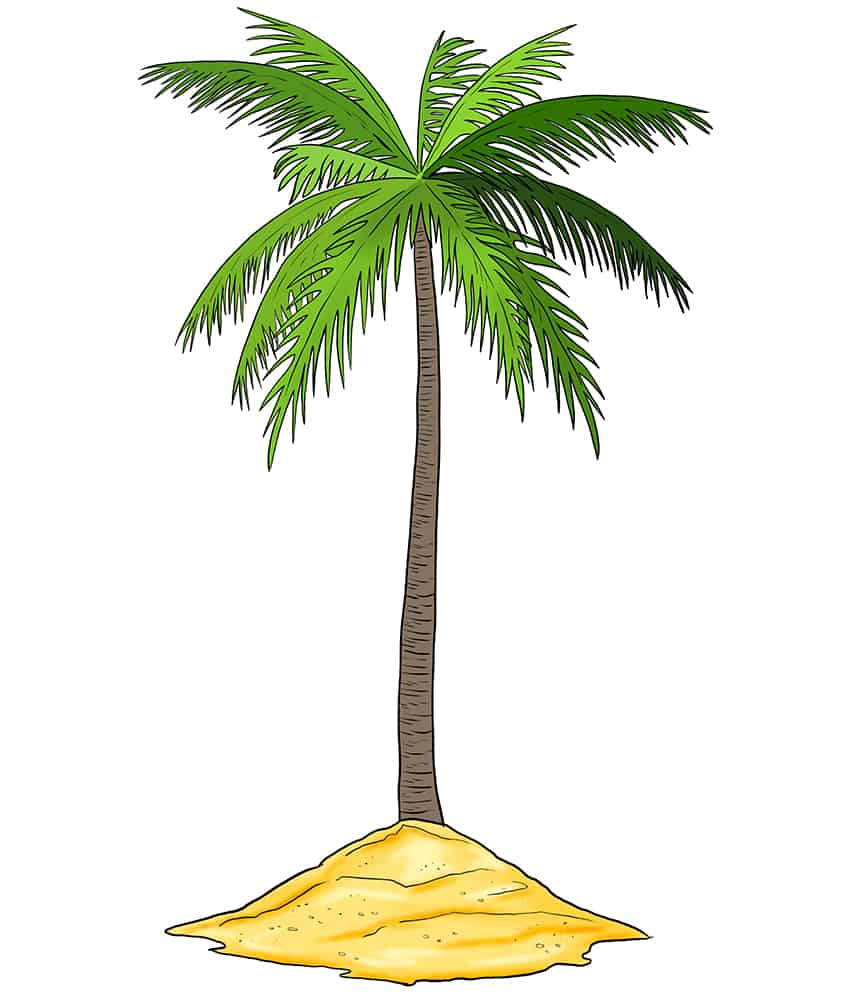 Palm Tree Sketch 11