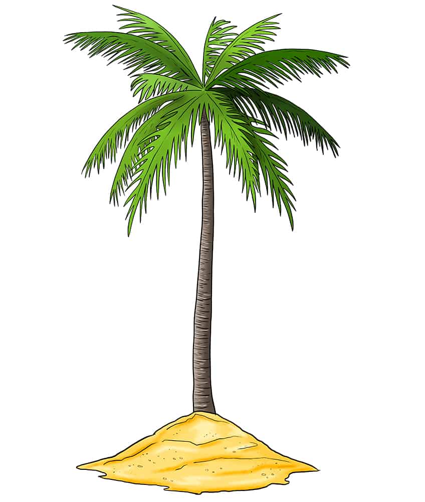 Palm Tree Sketch 14