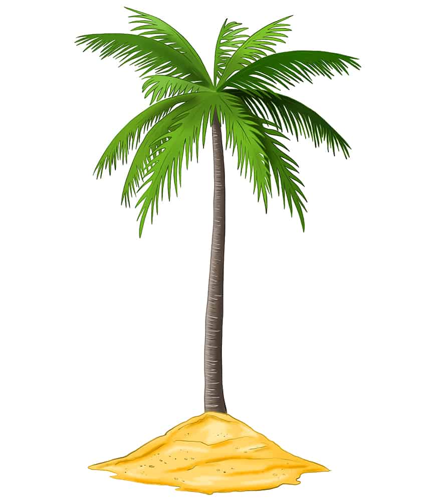 Palm Tree Sketch 15