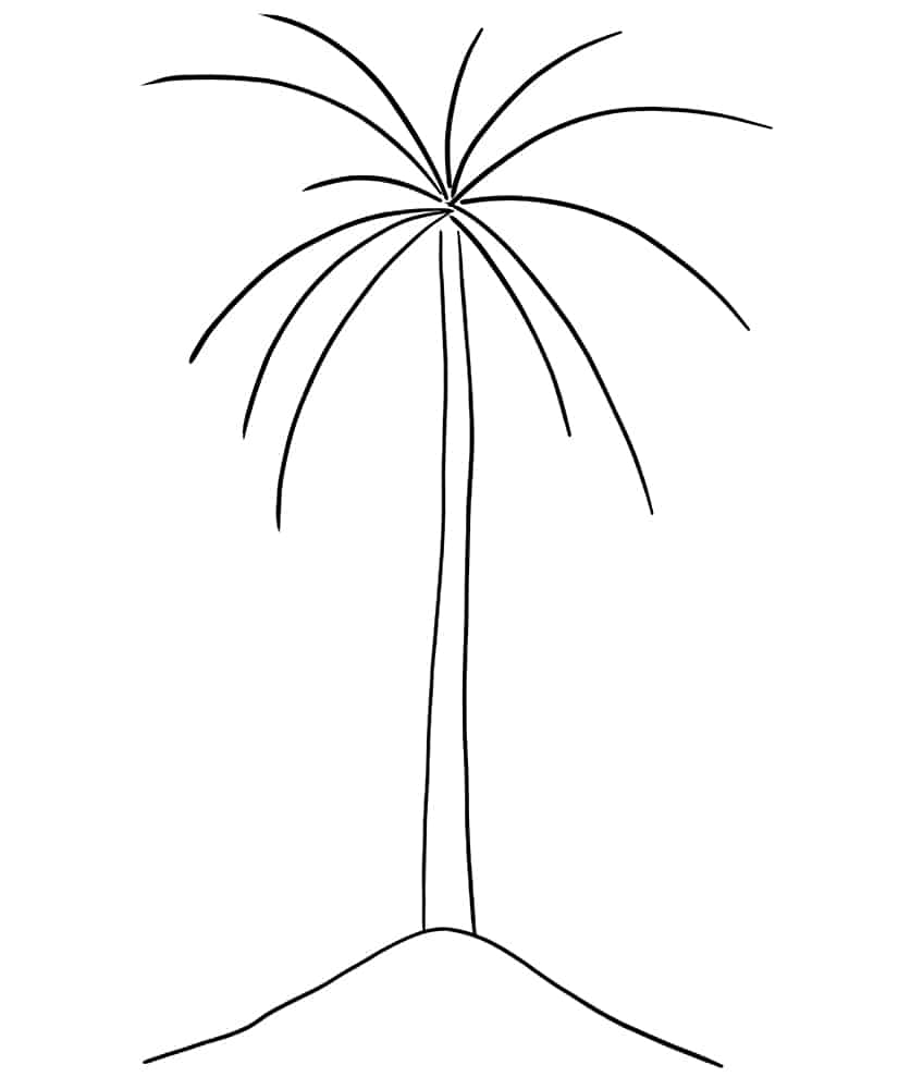 Palm Tree Sketch 3