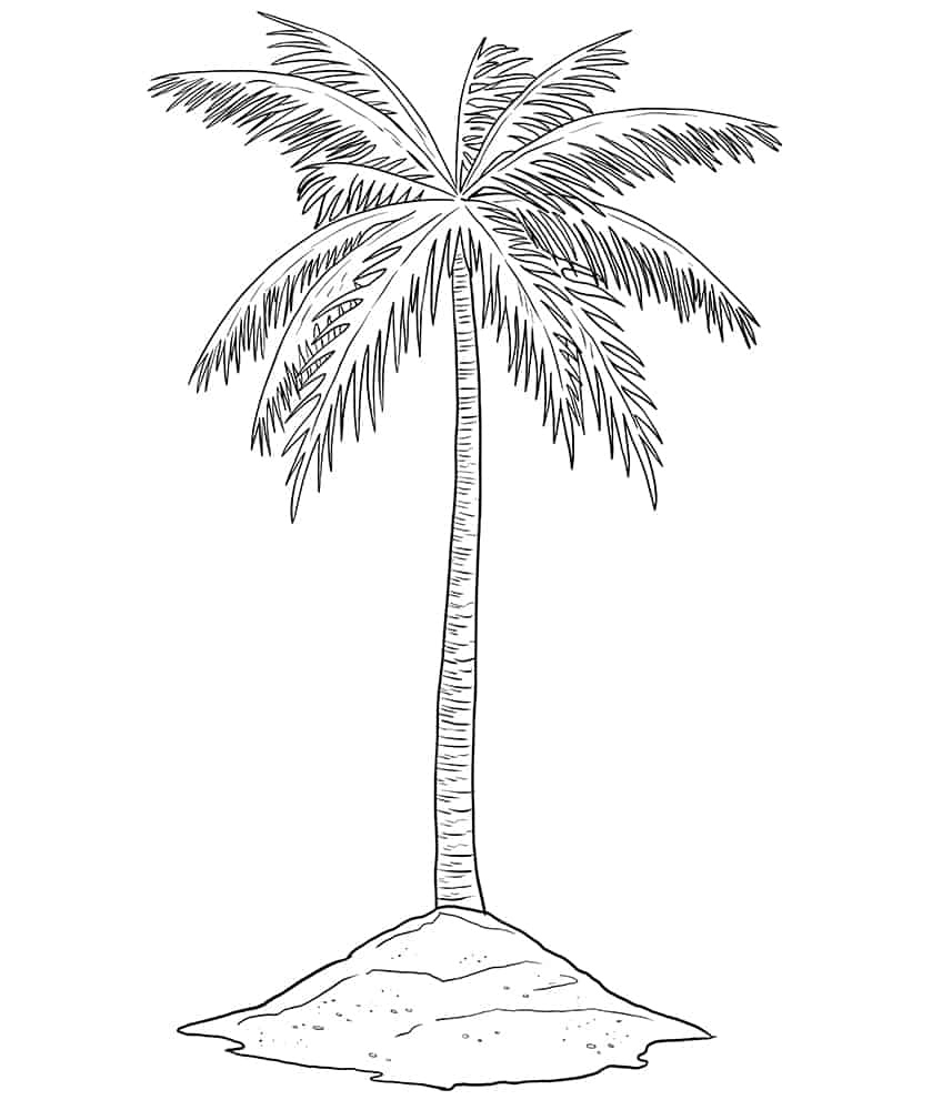 Palm Tree Sketch 7
