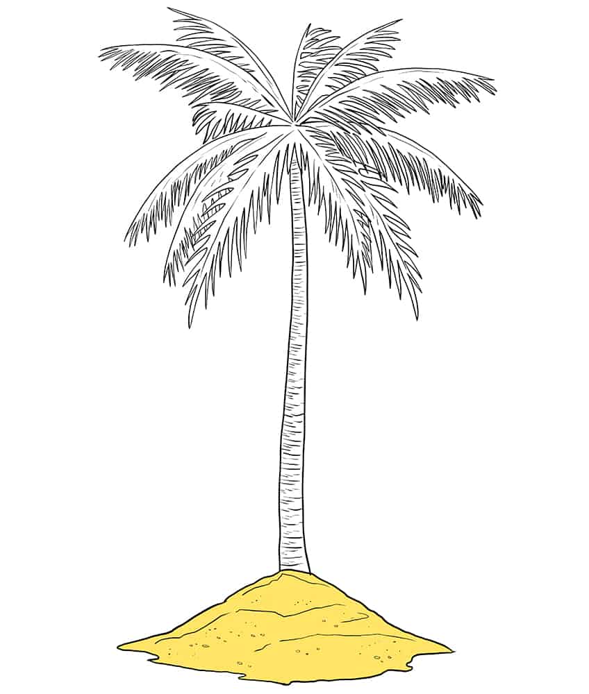 Palm Tree Sketch 8