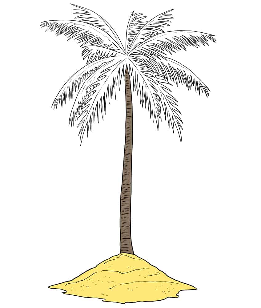Palm Tree Sketch 9