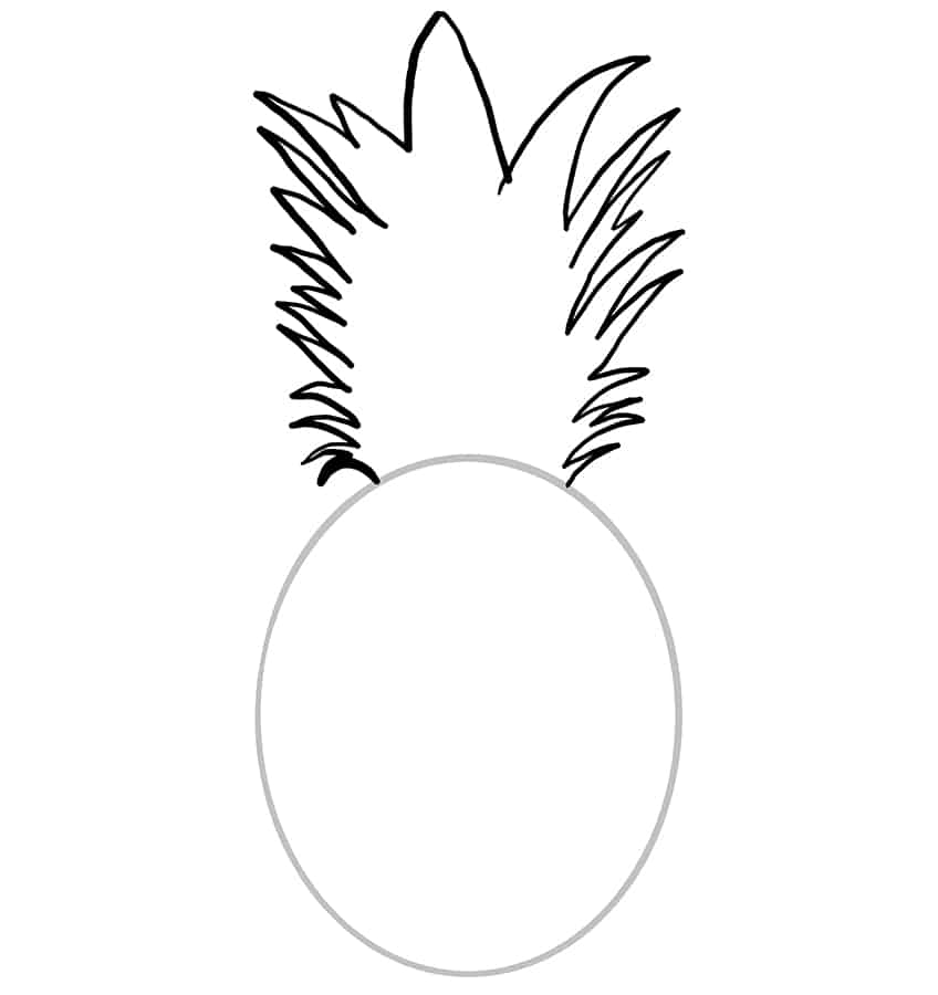 Pineapple Sketch 2