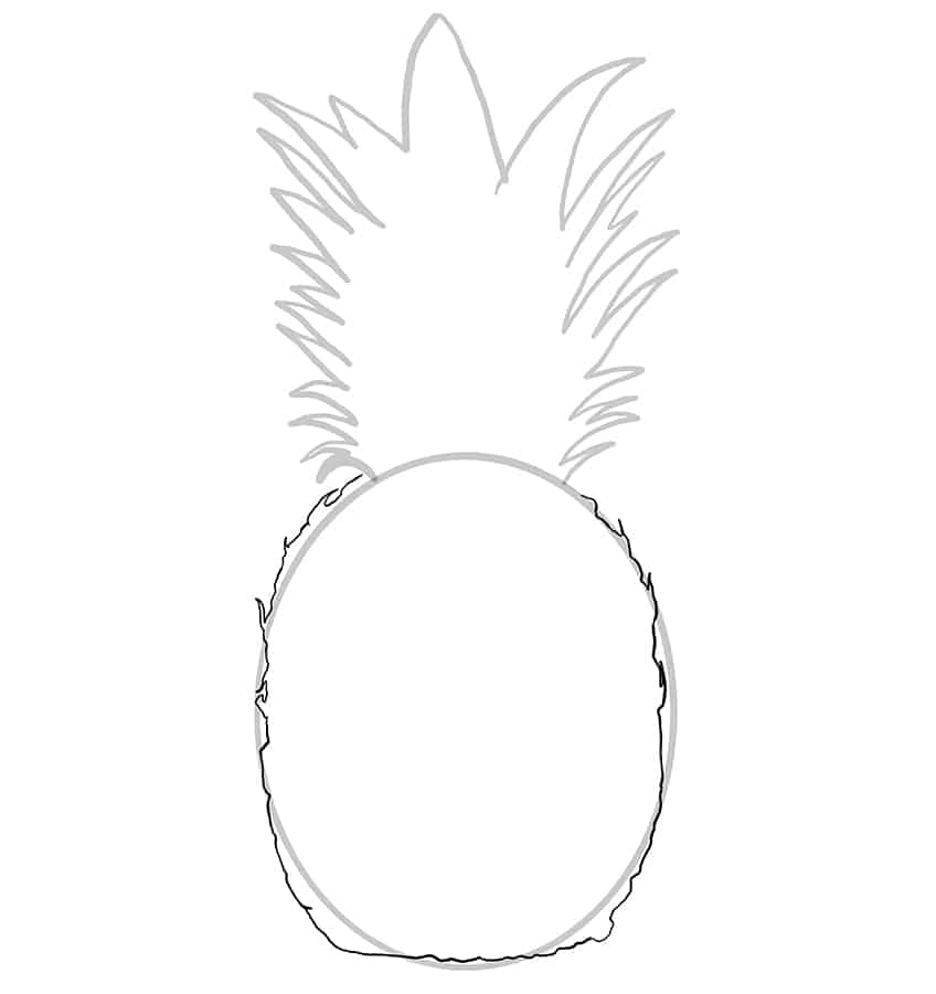 Pineapple Sketch 3