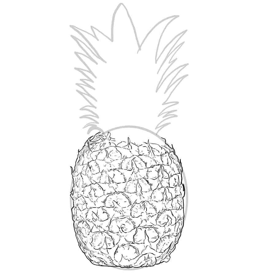 Pineapple Sketch 4