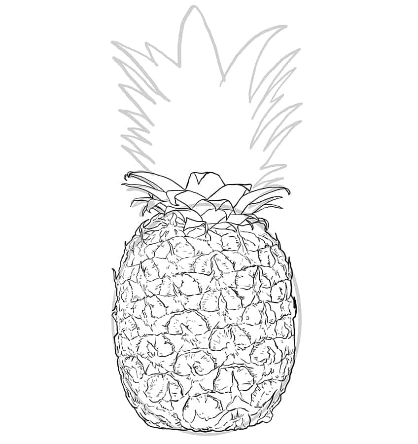 Pineapple Sketch 5