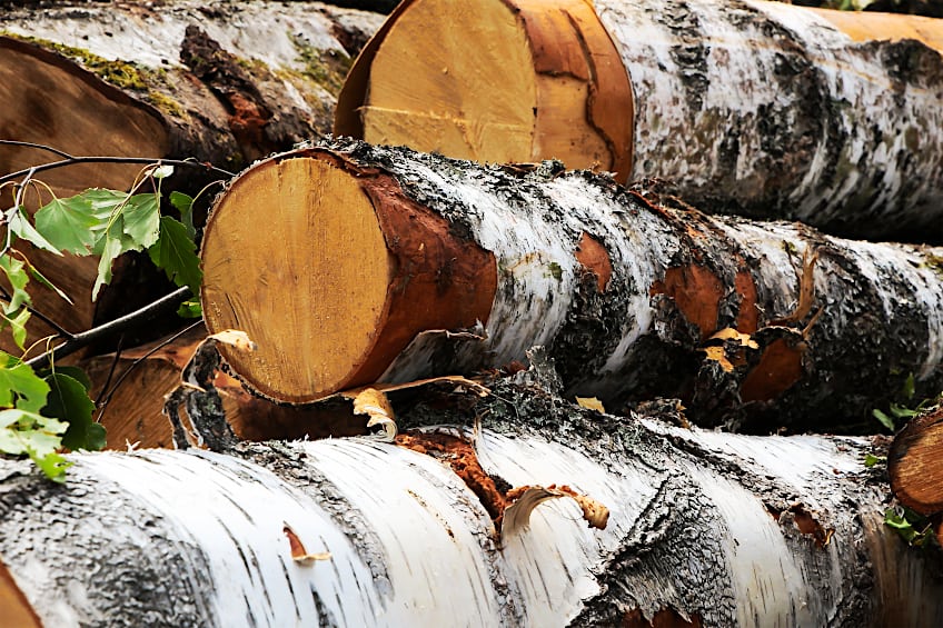 Raw Birchwood Lumber