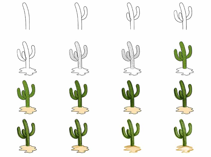 Steps for Drawing a Cactus