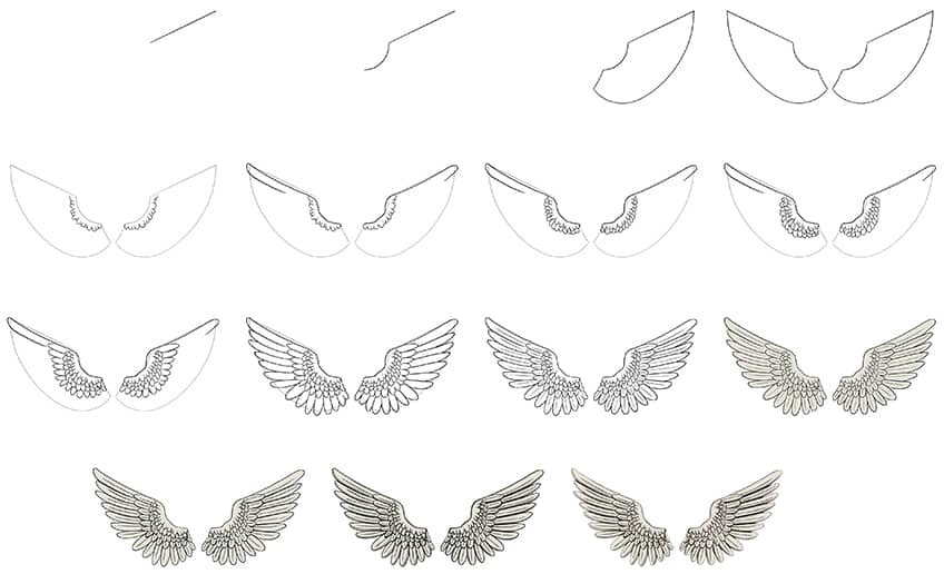 Steps for Drawing Wings