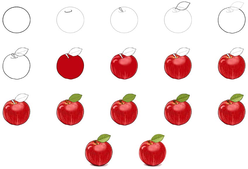 Steps to Making an Apple Sketch