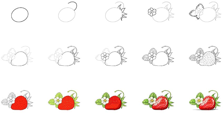 Strawberry Drawing Steps