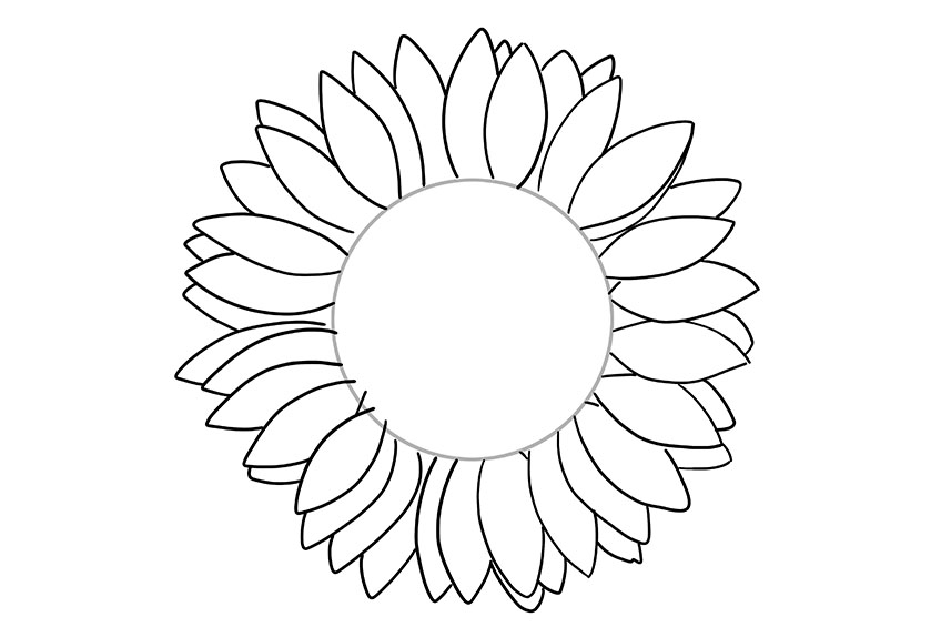 Sunflower Sketch 2
