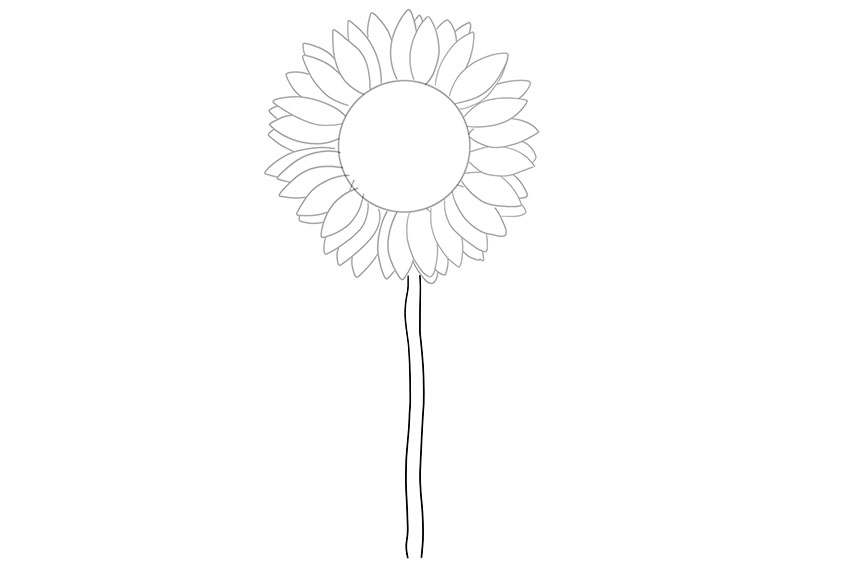 Sunflower Sketch 3