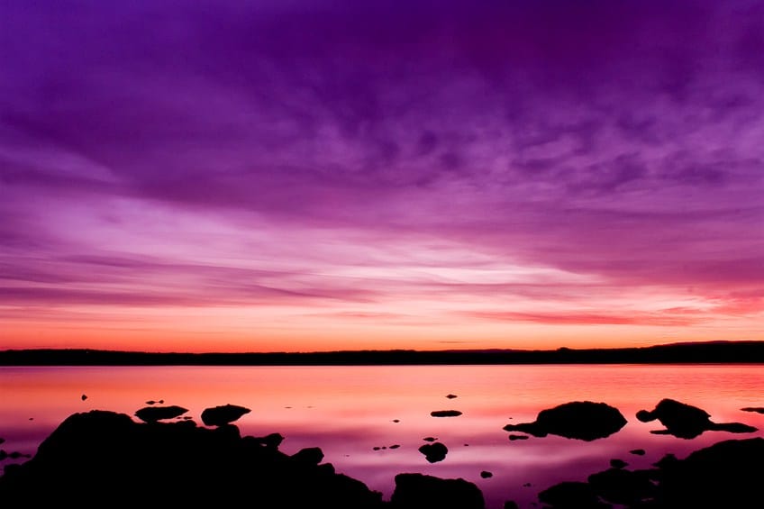 Sunset Purple Skies Shades