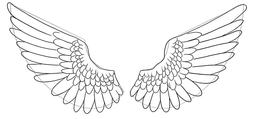Wings Sketch 10