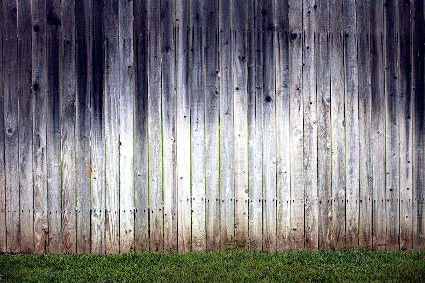 Wood Fence Rotting at Ground Level