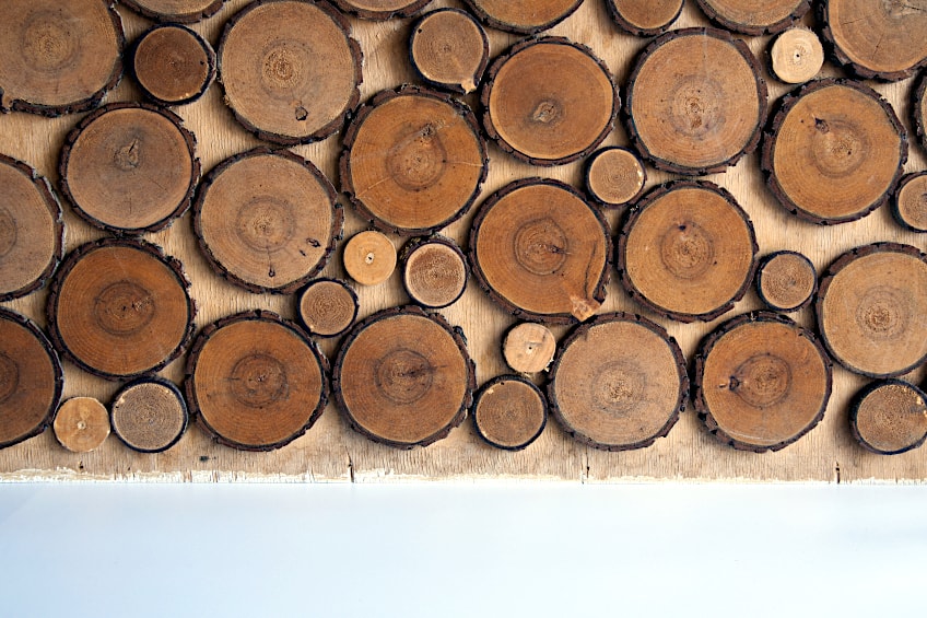 Wood Slices on Plywood