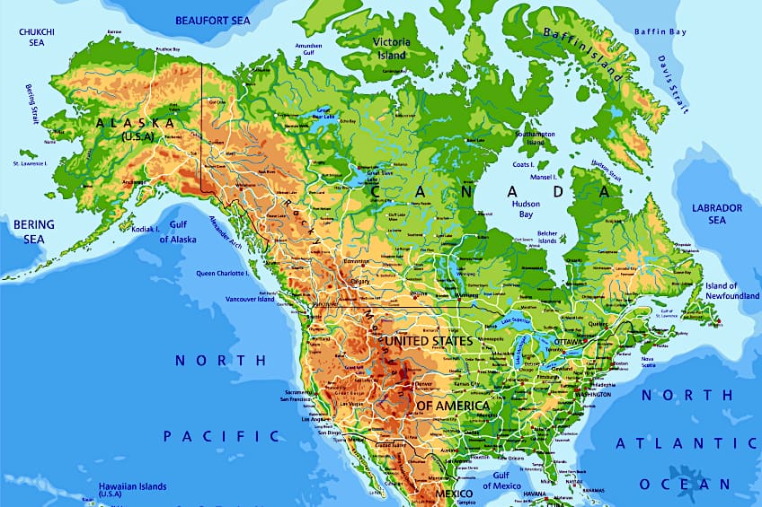 Wood Species of North America