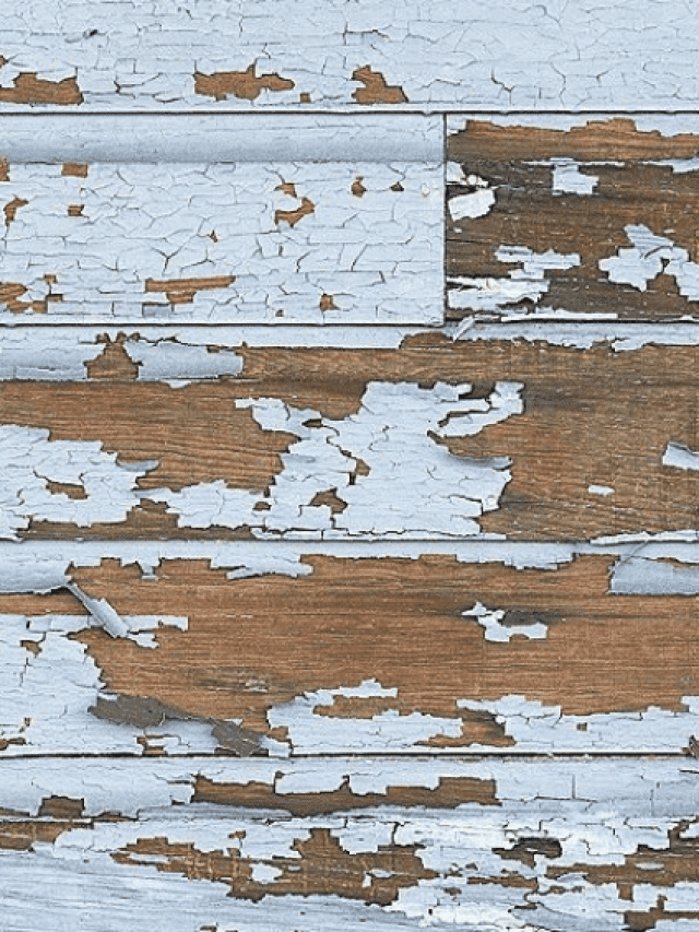 How To Get Paint Off Hardwood Floors – Different Methods